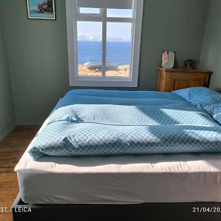 Happy-Cove Guesthouse - By The Sea Bakkafjorthur Eksteriør billede
