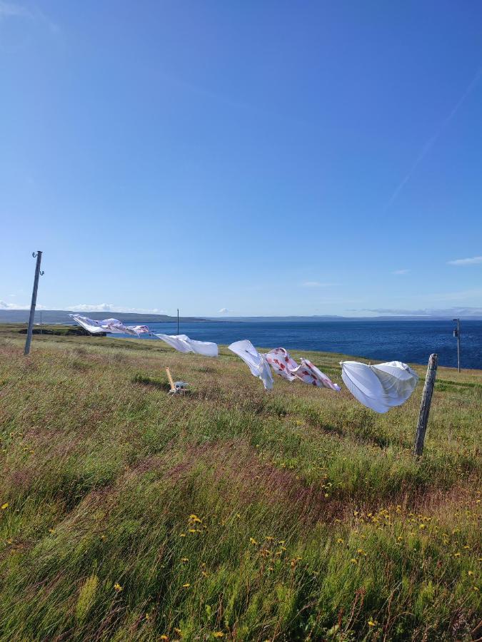 Happy-Cove Guesthouse - By The Sea Bakkafjorthur Eksteriør billede