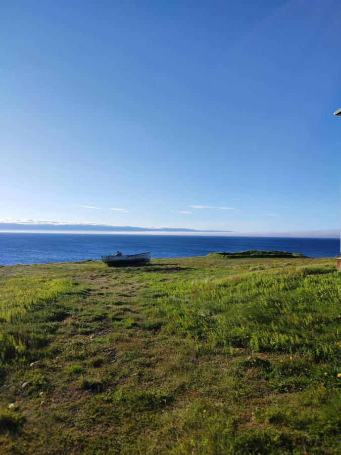 Happy-Cove Guesthouse - By The Sea Bakkafjorthur Eksteriør billede