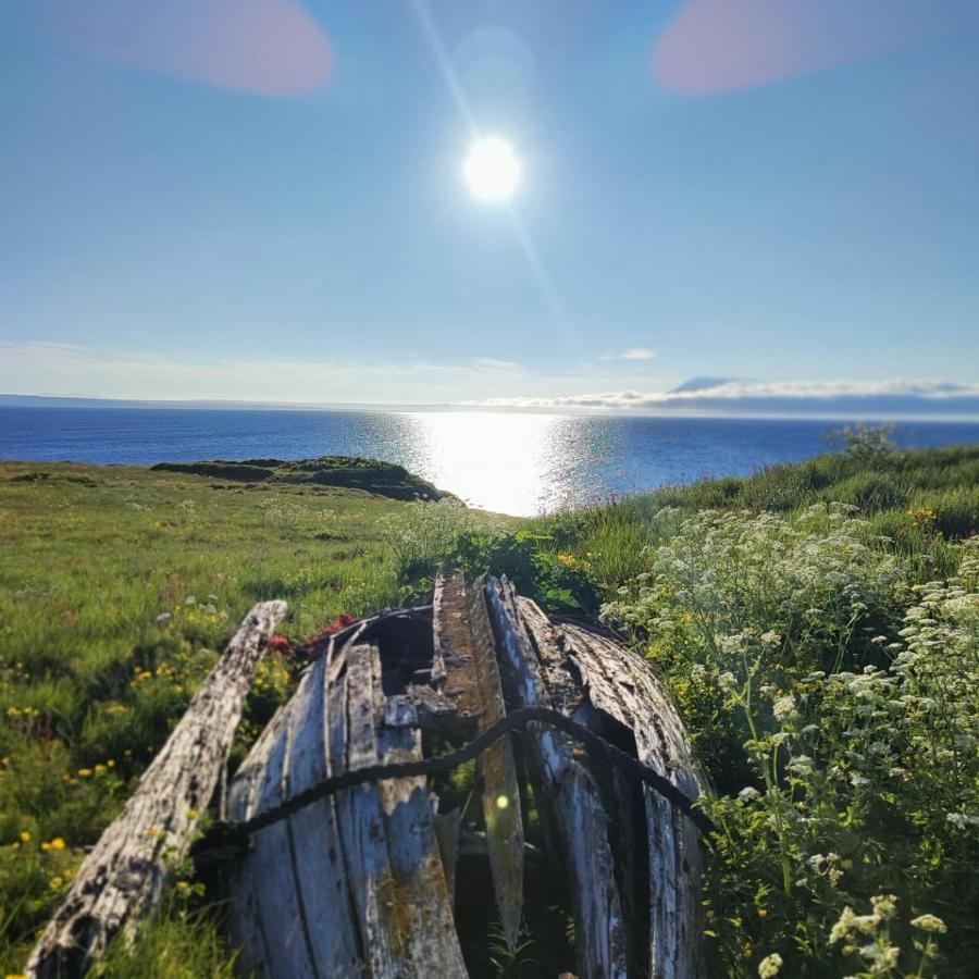 Happy-Cove Guesthouse - By The Sea Bakkafjorthur Eksteriør billede
