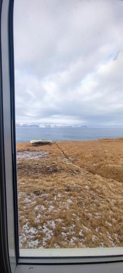 Happy-Cove Guesthouse - By The Sea Bakkafjorthur Eksteriør billede