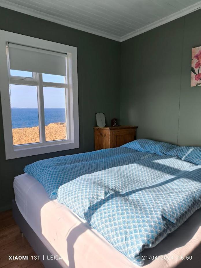 Happy-Cove Guesthouse - By The Sea Bakkafjorthur Eksteriør billede