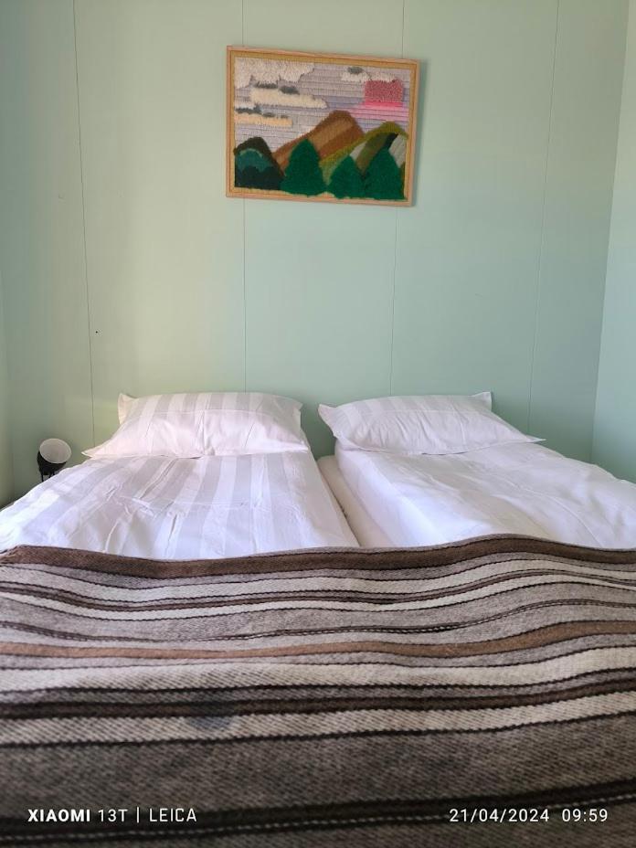Happy-Cove Guesthouse - By The Sea Bakkafjorthur Eksteriør billede