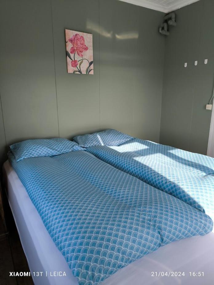 Happy-Cove Guesthouse - By The Sea Bakkafjorthur Eksteriør billede